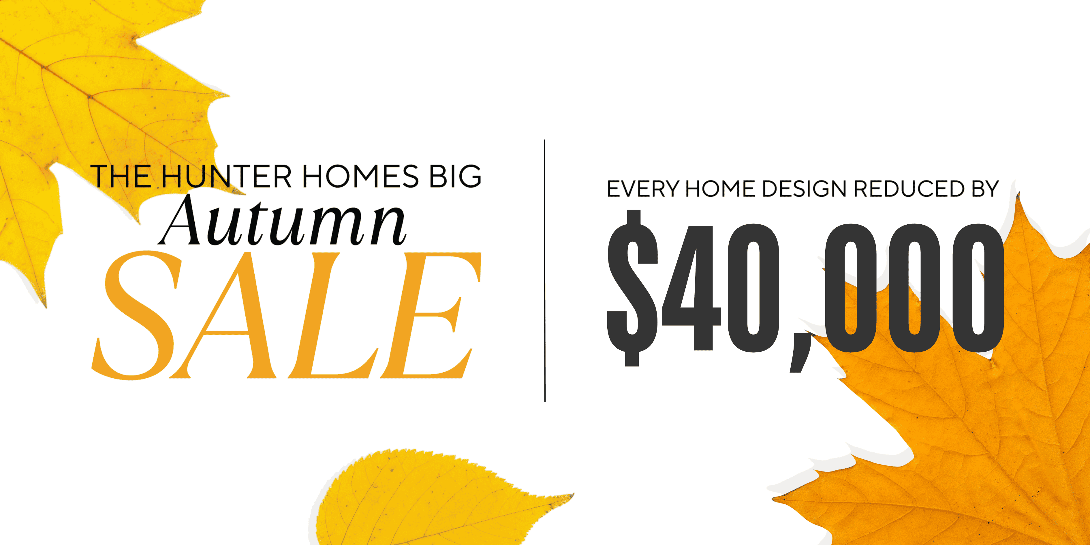 Assets - Autumn Sale