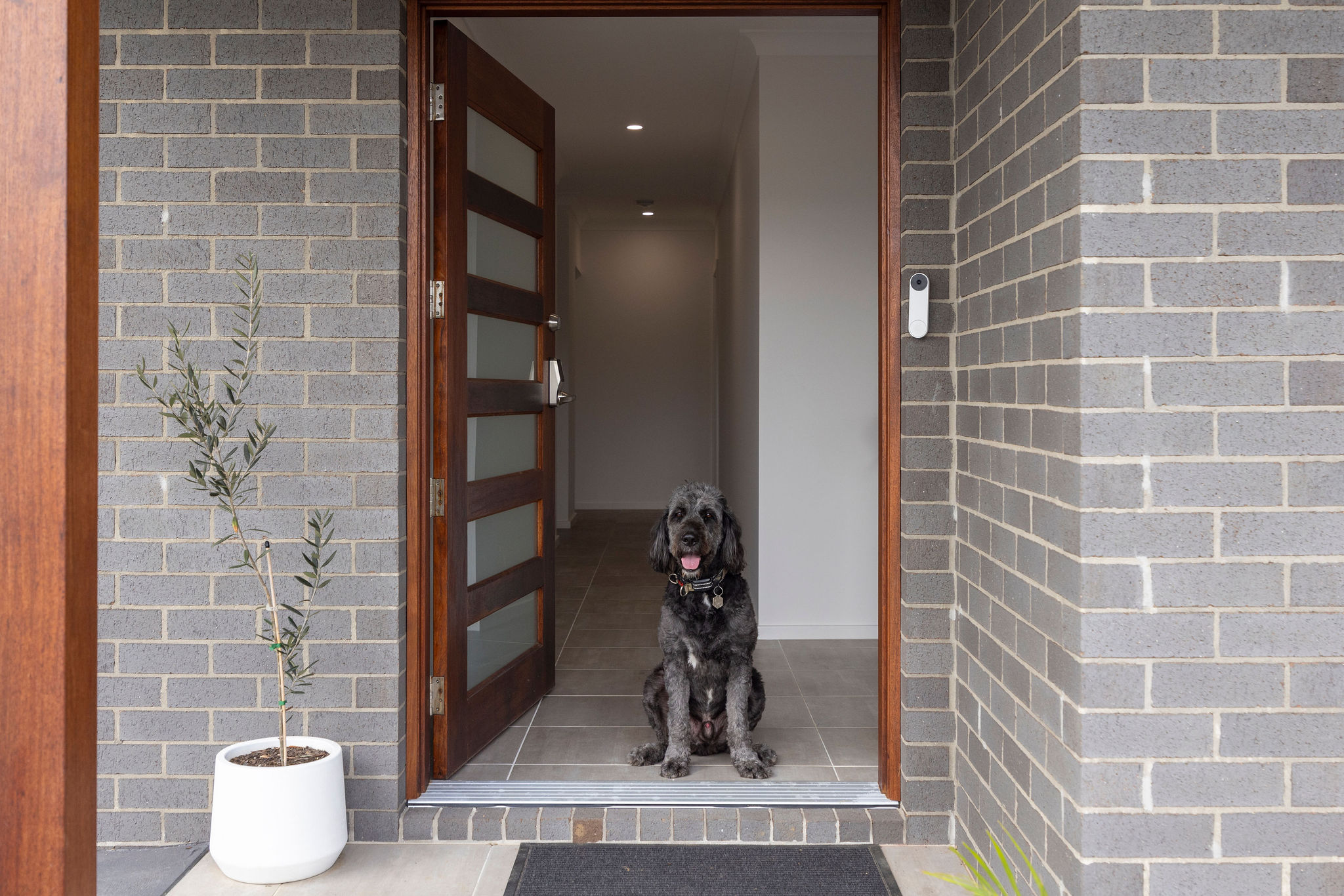  Gardenia Drive Medowie