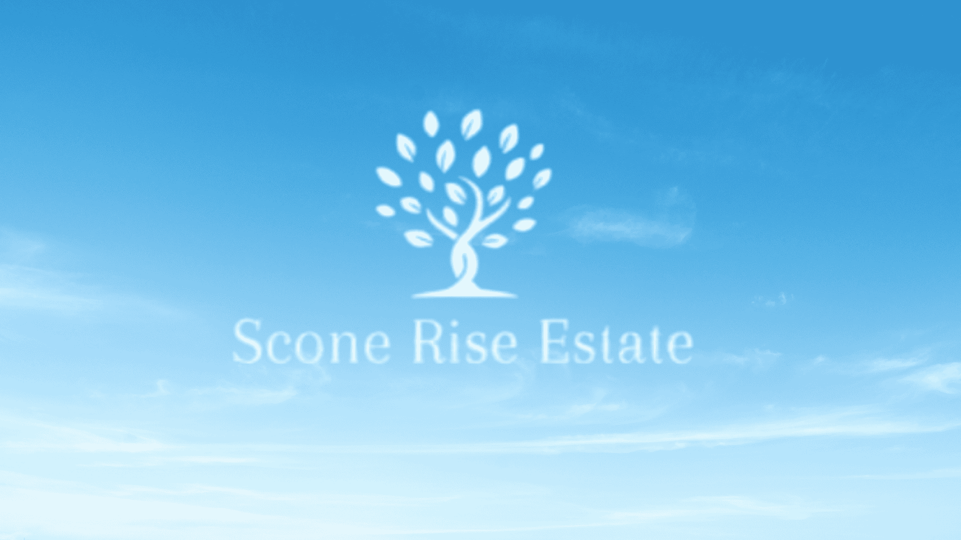 Scone Rise Estate