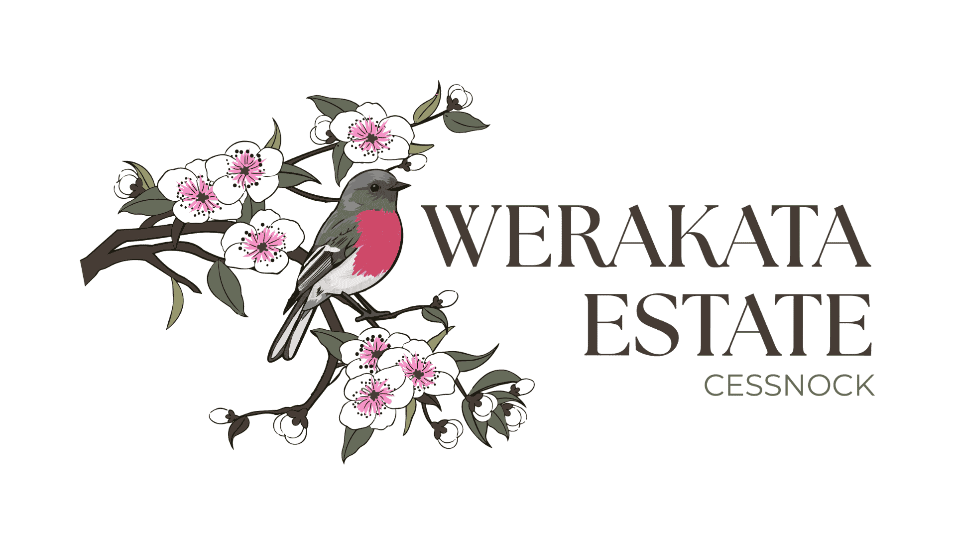 Werakata Estate Cessnock
