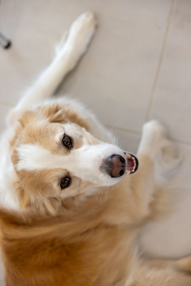 Lifestyle - First Home (27)