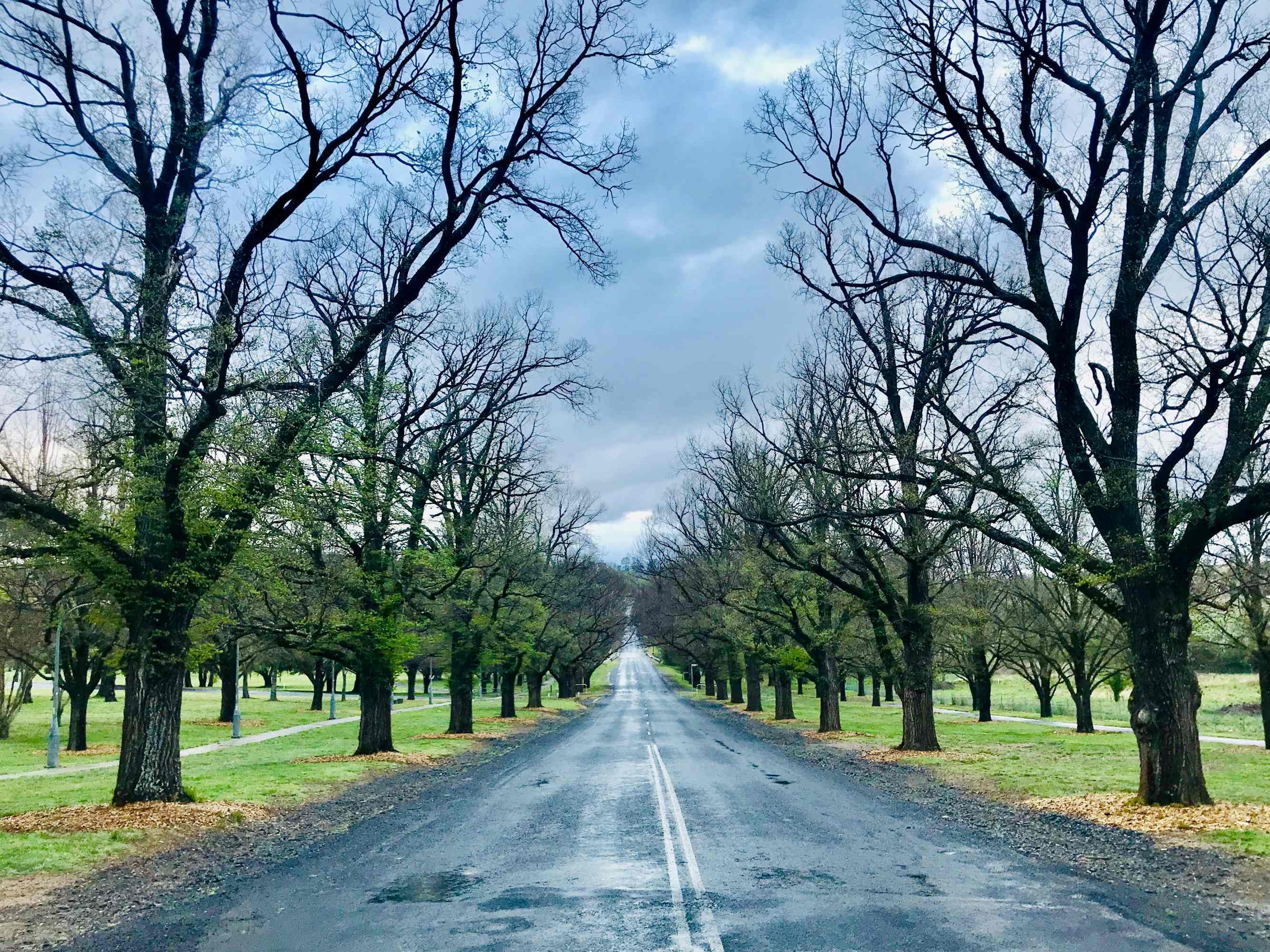 Local | Armidale - Lifestyle & Regional Attractions